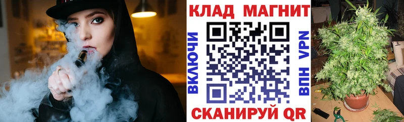 Купить закладку ГАШИШ  А ПВП  МЕФ  Каннабис  Шенкурск