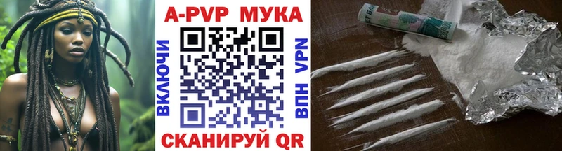 Купить закладки  Шенкурск  Alfa_PVP СК КРИС 