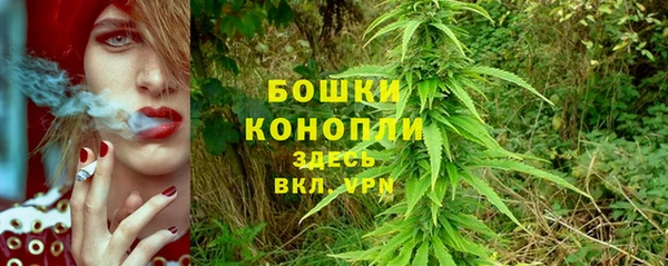 метадон Медвежьегорск