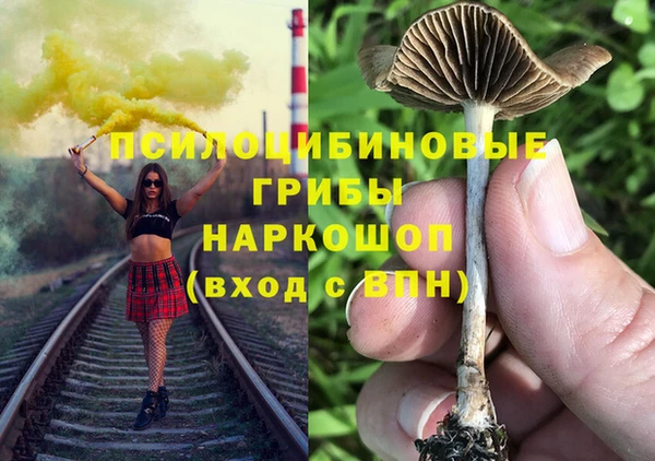метадон Медвежьегорск
