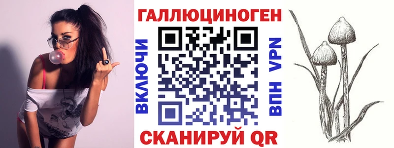 Псилоцибиновые грибы GOLDEN TEACHER  Купить  Шенкурск 